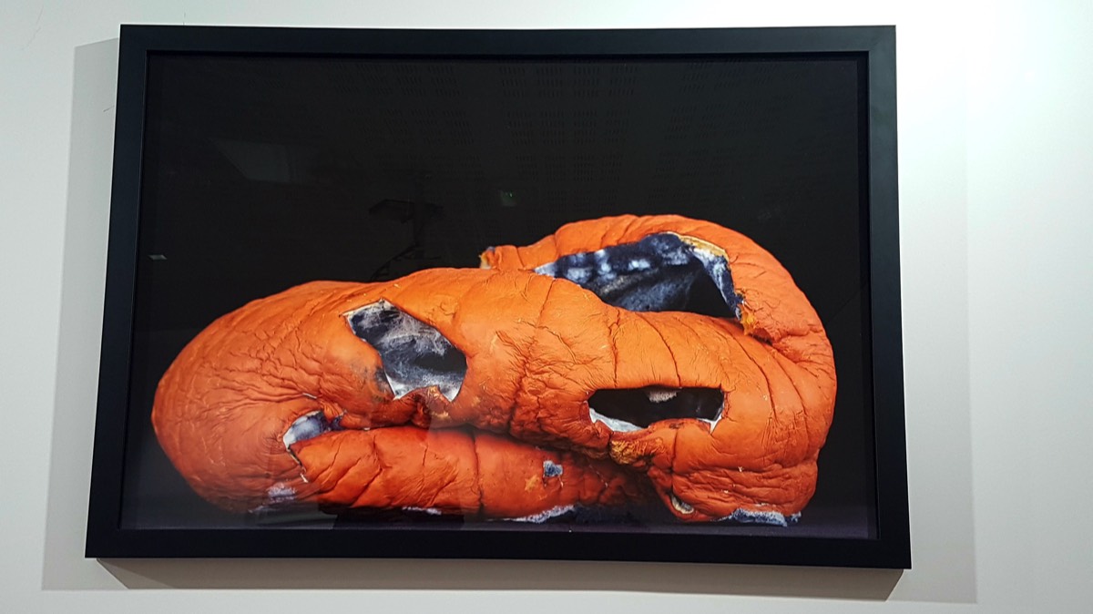 DUNNING Jeanne Untitled 2008.