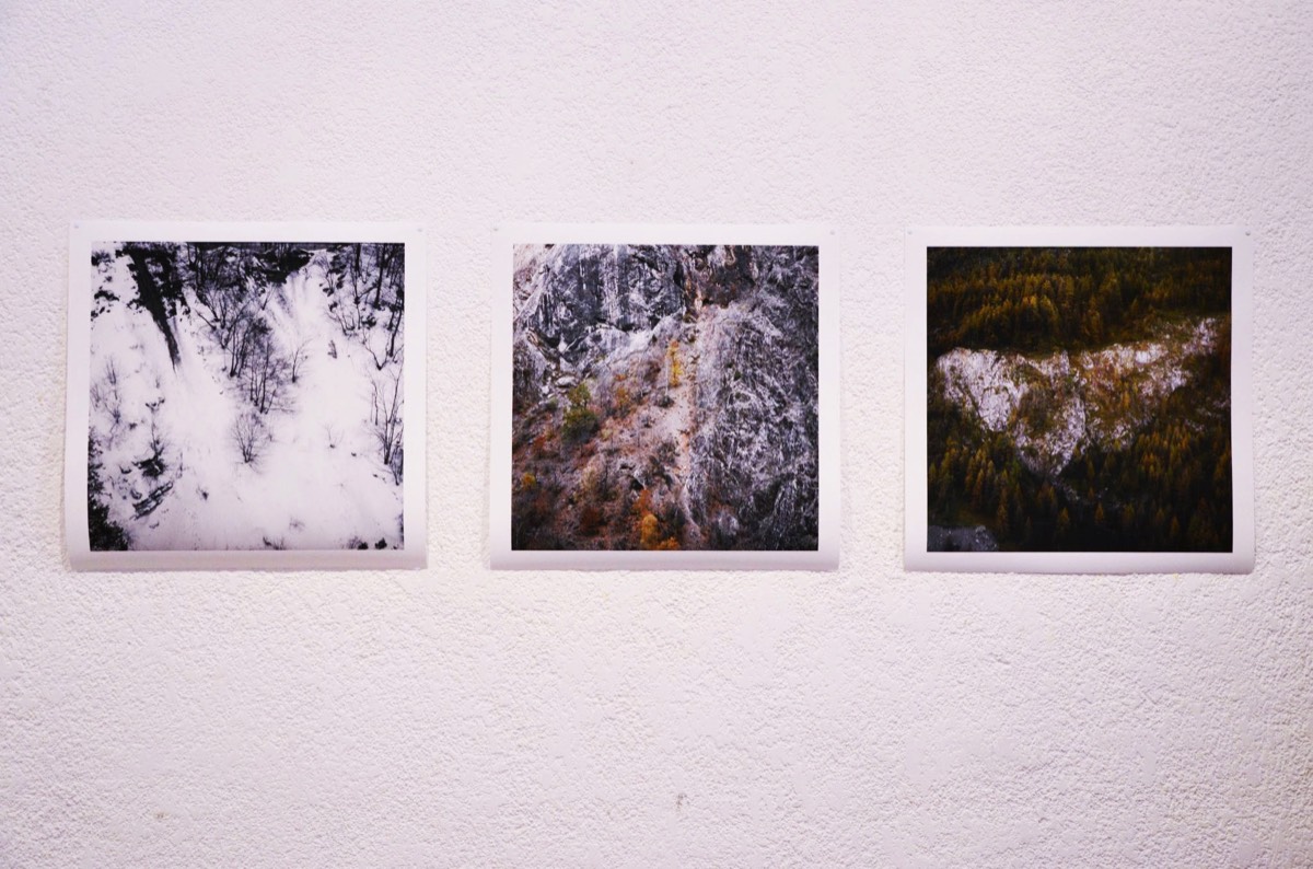 "Allotropie". Sabrina Guichard "Alpine boards" 2012 2018