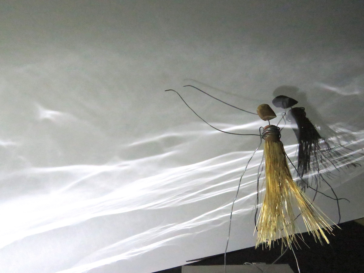 Ombres et lumières 