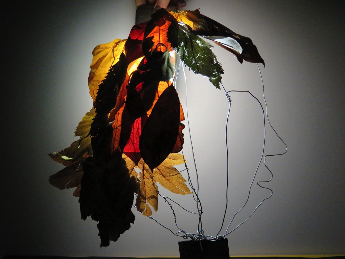 Ombres et lumières 