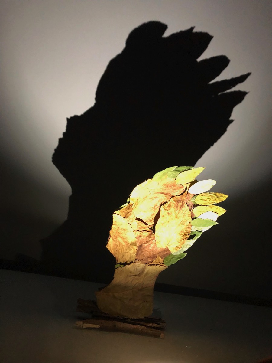 Ombres et lumières 