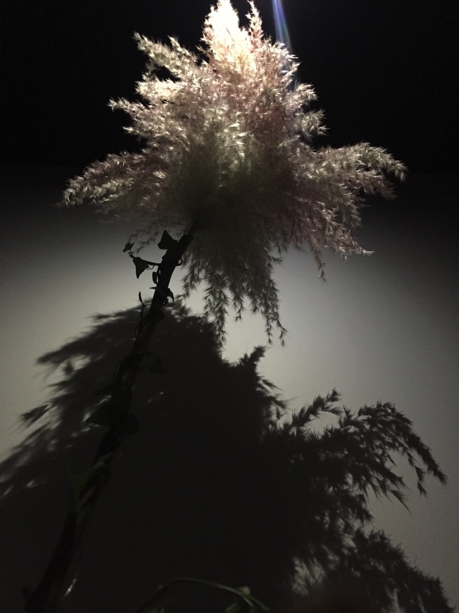 Ombres et lumières 