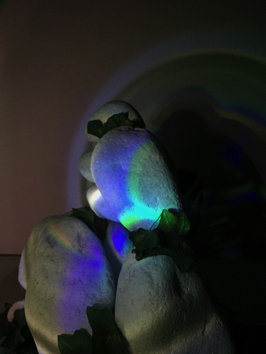 Ombres et lumières 