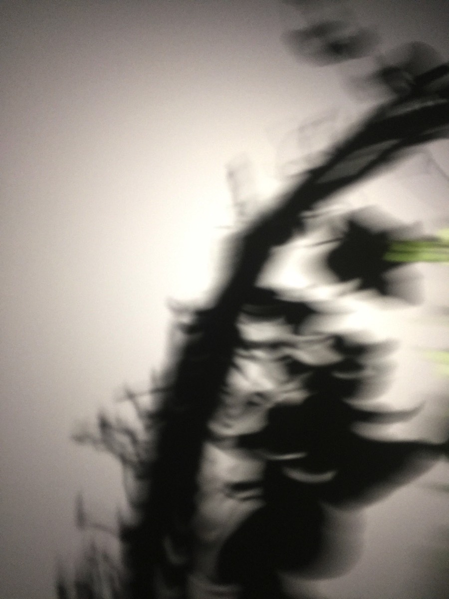 Ombres et lumières 