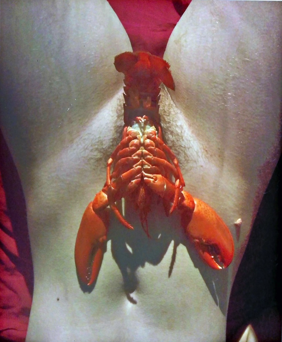 Sexhom