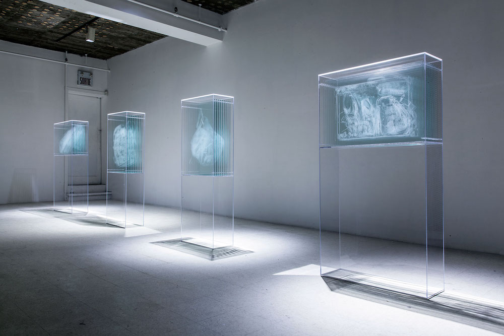 David Spriggs - Transparency Report - 2014